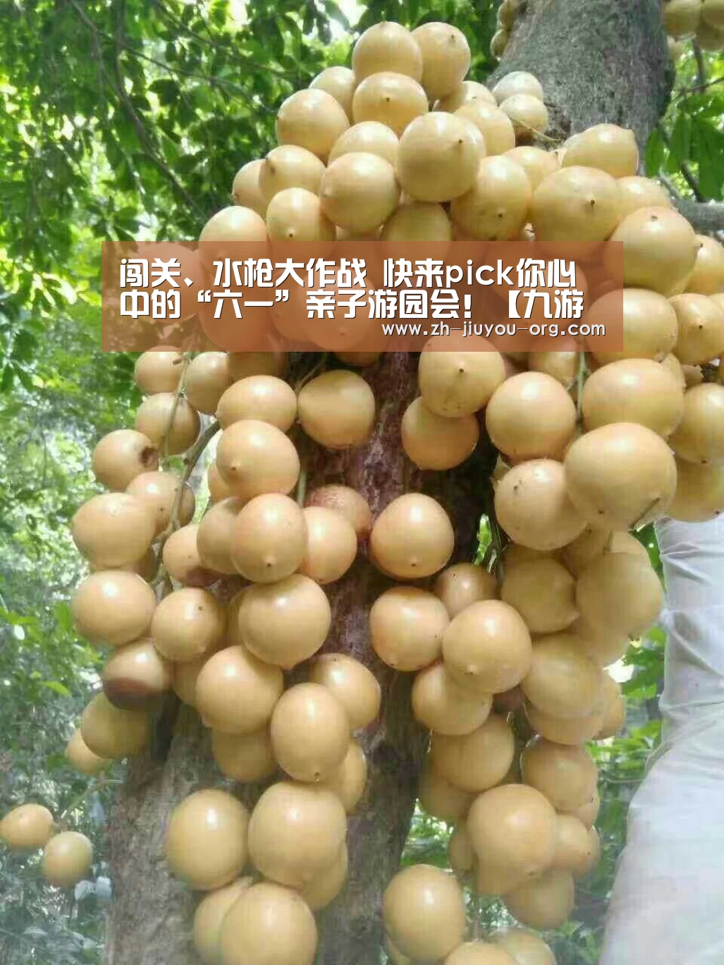 闯关、水枪大作战 快来pick你心中的“六一”亲子游园会!【九游游戏盒子】(图3)
闯关、水枪大作战 快来pick你心中的“六一”亲子游园会!【九游游戏盒子】(图3)
